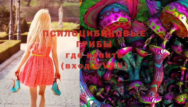 Псилоцибиновые грибы Magic Shrooms  Дубна 